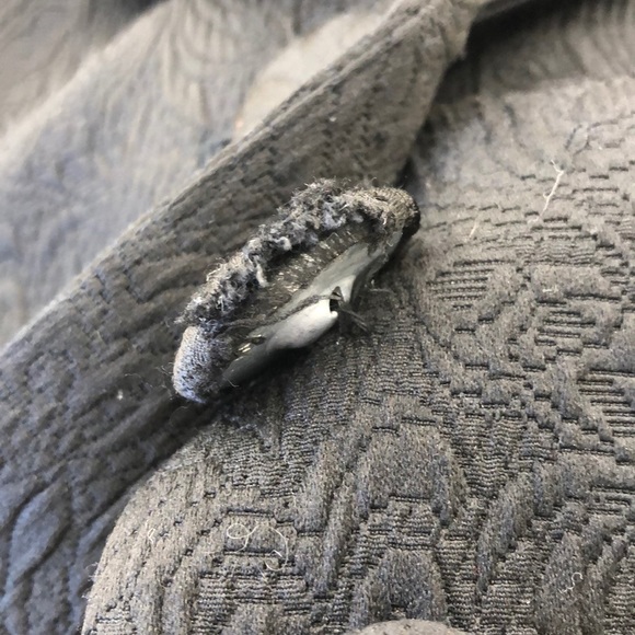 White House Black Market Black Textured Blazer - Picture 6 of 7